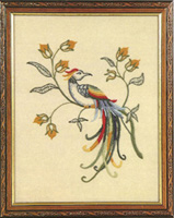 Bird Of Paradise