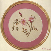 Glamis Rose